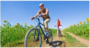 bikewinetour