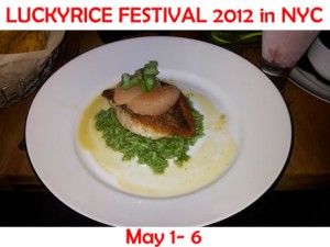 luckyrice_festival luckyrice_festival